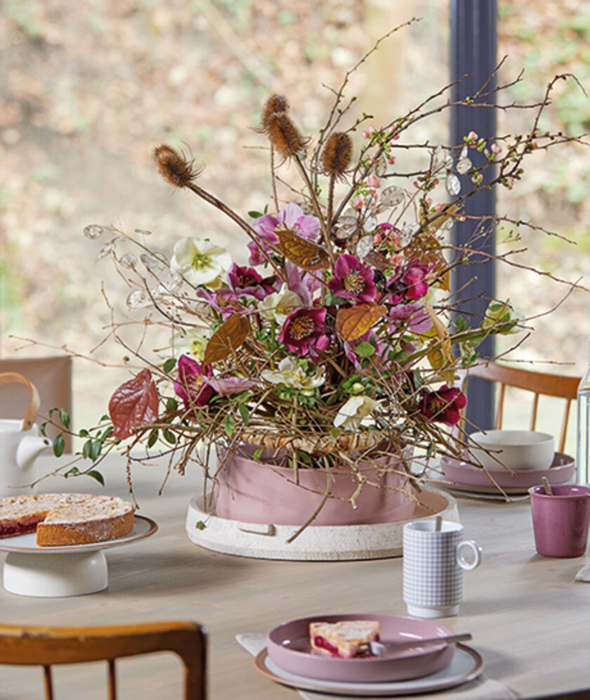 Aarendelle Nora Purple, Bella Pink und Bella White zusammen mit Chaenomeles, Corylus, Dipsacus, Epimedium, Ligustrum und Lunaria.